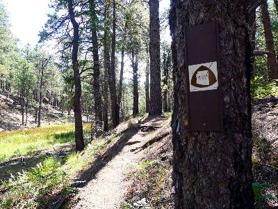 cabin-loop-2020-day1-9  on the AZT  w.jpg (660184 bytes)